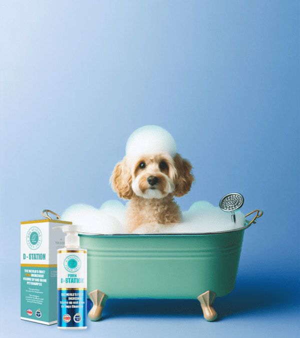 Dog taking a bath with shampoo.