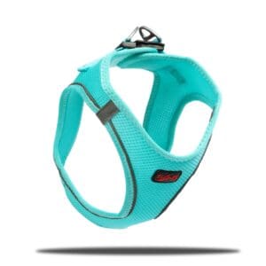 Teal blue dog harness with red logo.