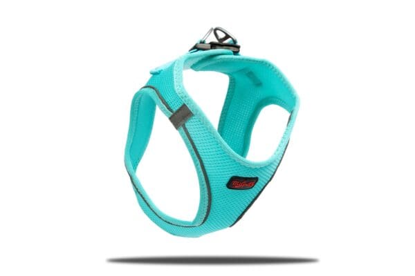 Teal blue dog harness with red logo.