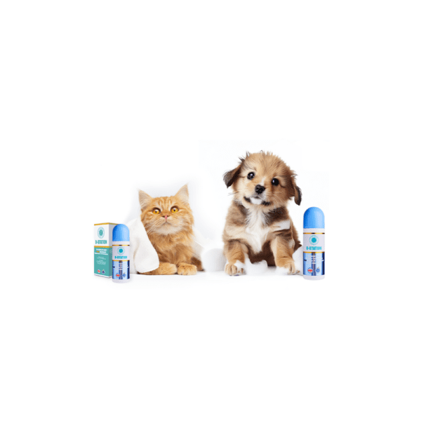 Cat and puppy with pet spray bottles.